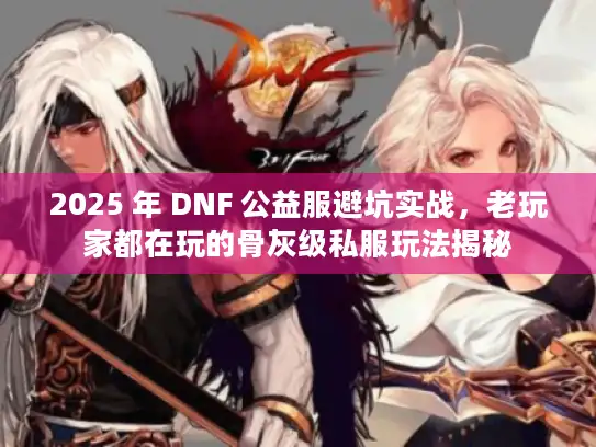 2025 年 DNF 公益服避坑实战，老玩家都在玩的骨灰级私服玩法揭秘