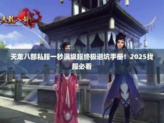 天龙八部私服一秒满级服终极避坑手册！2025找服必看