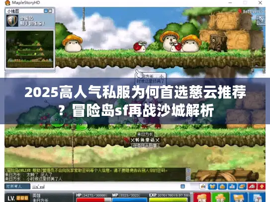 2025高人气私服为何首选慈云推荐？冒险岛sf再战沙城解析