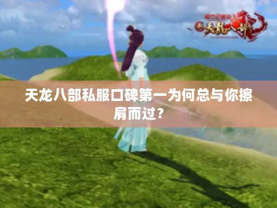 天龙八部私服口碑第一为何总与你擦肩而过? 天龙八部私服口碑第一为何总与你擦肩而过?