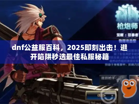 dnf公益服百科，2025即刻出击！避开陷阱秒选最佳私服秘籍