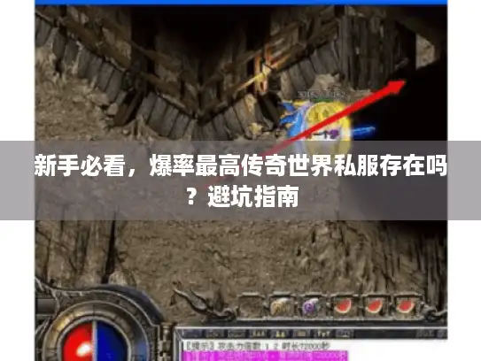 新手必看，爆率最高传奇世界私服存在吗？避坑指南
