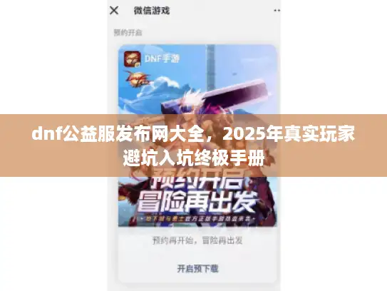 dnf公益服发布网大全，2025年真实玩家避坑入坑终极手册