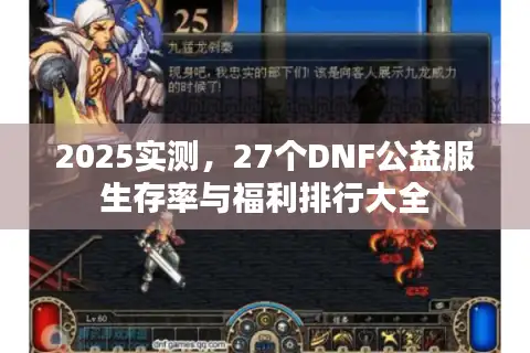 2025实测，27个DNF公益服生存率与福利排行大全