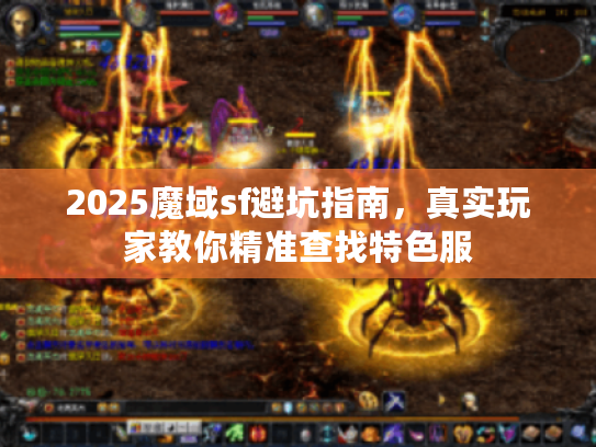 2025魔域sf避坑指南，真实玩家教你精准查找特色服
