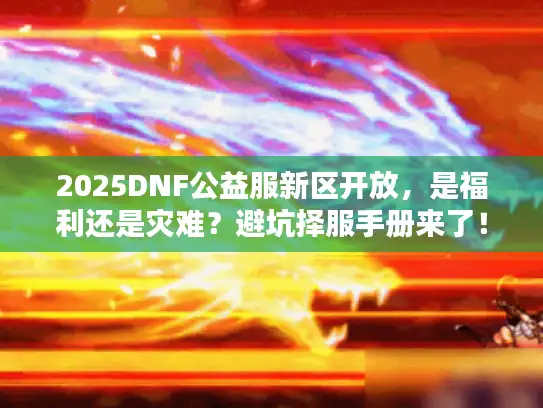 2025DNF公益服新区开放，是福利还是灾难？避坑择服手册来了！