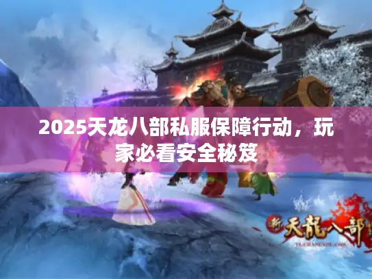 2025天龙八部私服保障行动，玩家必看安全秘笈