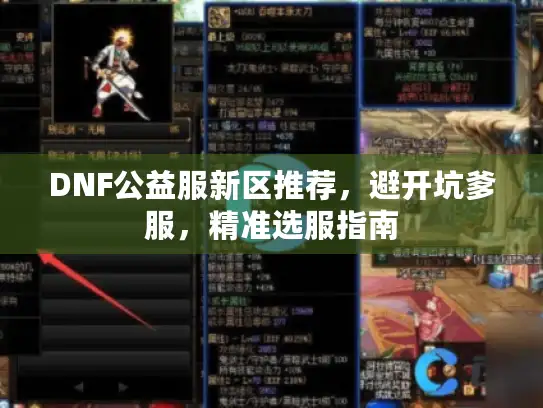DNF公益服新区推荐，避开坑爹服，精准选服指南