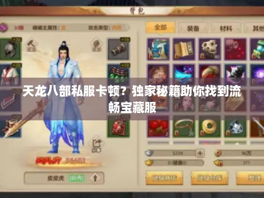 天龙八部私服卡顿？独家秘籍助你找到流畅宝藏服