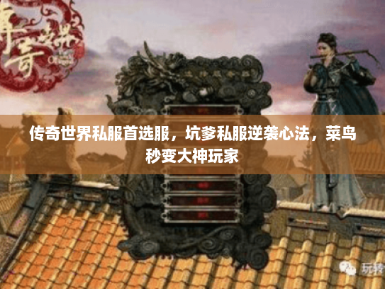 传奇世界私服首选服，坑爹私服逆袭心法，菜鸟秒变大神玩家