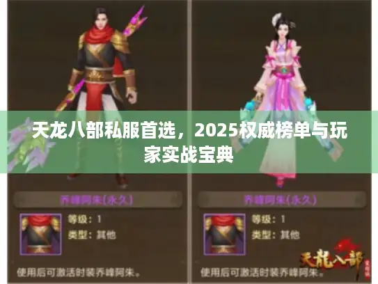 天龙八部私服首选，2025权威榜单与玩家实战宝典