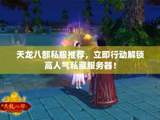 天龙八部私服推荐，立即行动解锁高人气私藏服务器！