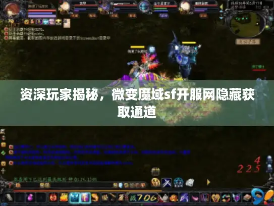 资深玩家揭秘，微变魔域sf开服网隐藏获取通道