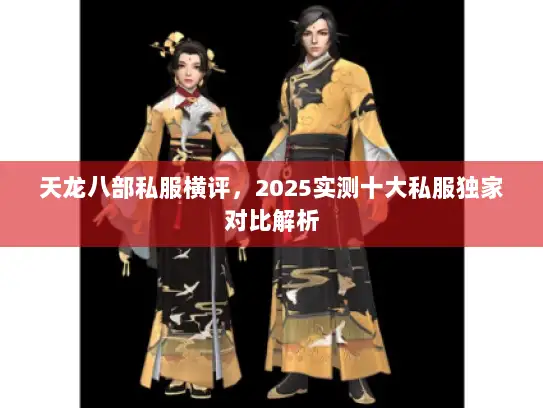 天龙八部私服横评，2025实测十大私服独家对比解析