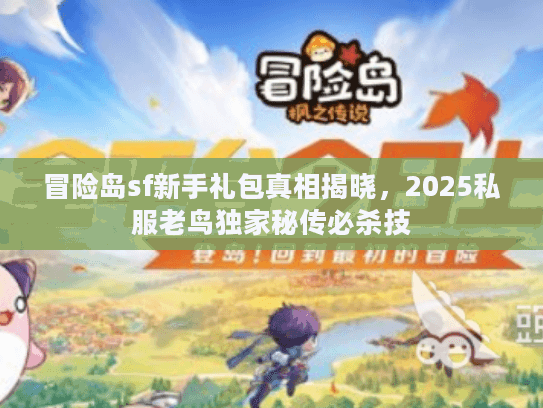 冒险岛sf新手礼包真相揭晓，2025私服老鸟独家秘传必杀技