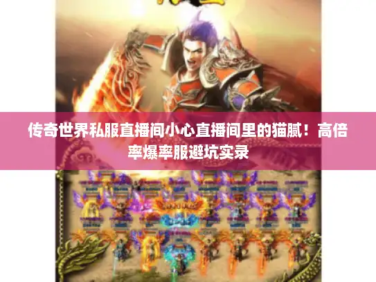 传奇世界私服直播间小心直播间里的猫腻！高倍率爆率服避坑实录