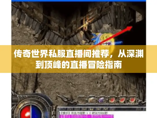 传奇世界私服直播间推荐，从深渊到顶峰的直播冒险指南