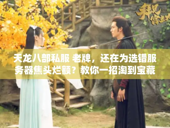 天龙八部私服 老牌，还在为选错服务器焦头烂额？教你一招淘到宝藏！