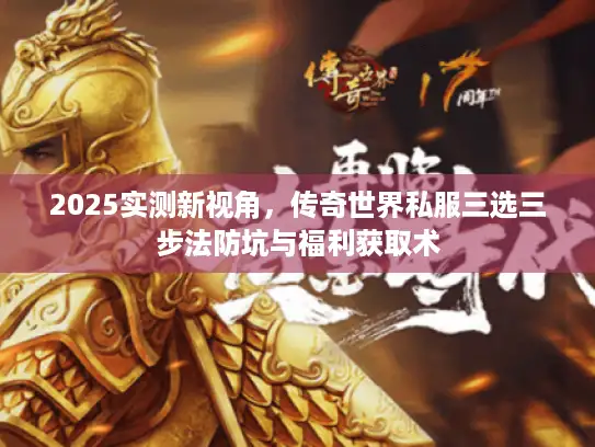 2025实测新视角，传奇世界私服三选三步法防坑与福利获取术