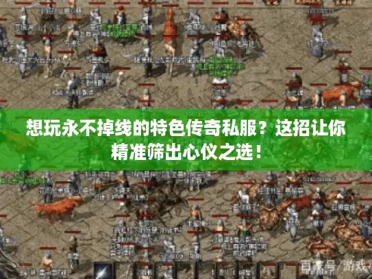 想玩永不掉线的特色传奇私服？这招让你精准筛出心仪之选！