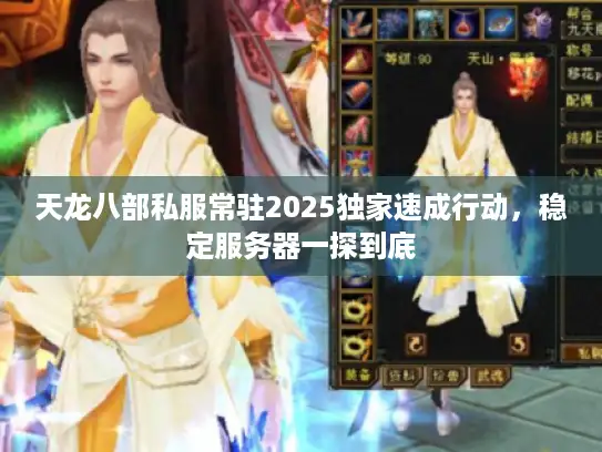 天龙八部私服常驻2025独家速成行动，稳定服务器一探到底