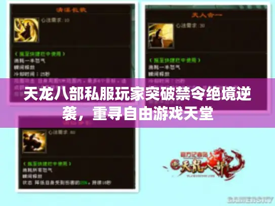 天龙八部私服玩家突破禁令绝境逆袭，重寻自由游戏天堂