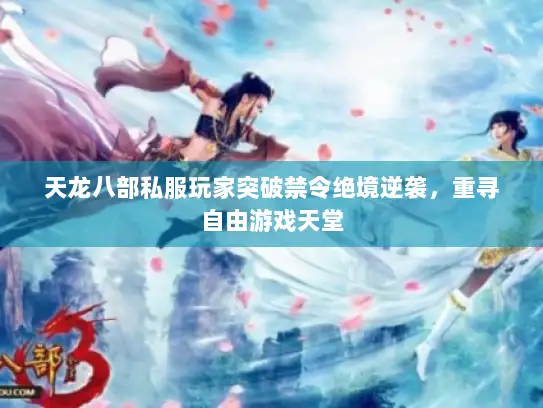 天龙八部私服玩家突破禁令绝境逆袭，重寻自由游戏天堂