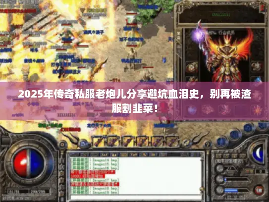 2025年传奇私服老炮儿分享避坑血泪史，别再被渣服割韭菜！