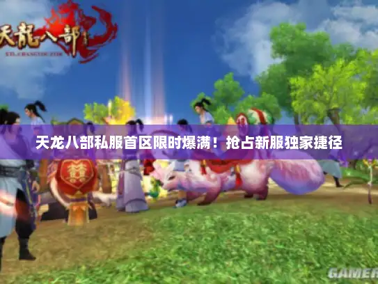 天龙八部私服首区限时爆满！抢占新服独家捷径