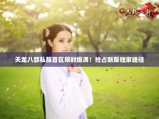 天龙八部私服首区限时爆满！抢占新服独家捷径