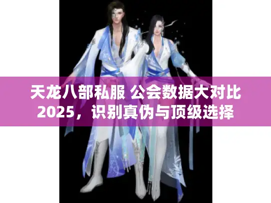 天龙八部私服 公会数据大对比2025，识别真伪与顶级选择