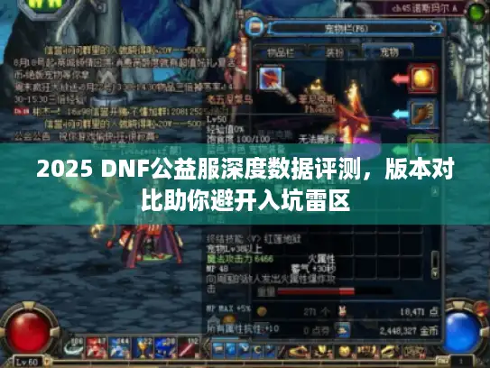 2025 DNF公益服深度数据评测，版本对比助你避开入坑雷区