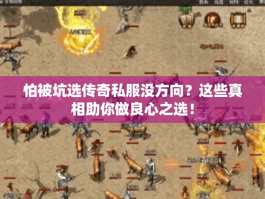 怕被坑选传奇私服没方向？这些真相助你做良心之选！