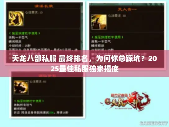 天龙八部私服 最终排名，为何你总踩坑？2025最佳私服独家揭底