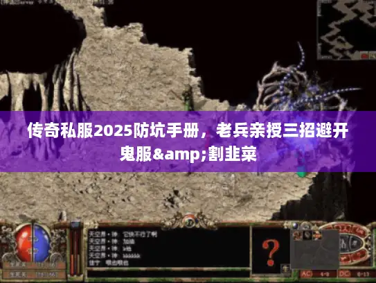 传奇私服2025防坑手册,老兵亲授三招避开鬼服&割韭菜 传奇私服2025防坑手册,老兵亲授三招避开鬼服&割韭菜