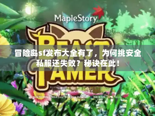 冒险岛sf发布大全有了,为何挑安全私服还失败?秘诀在此! 冒险岛sf发布大全有了,为何挑安全私服还失败?秘诀在此!