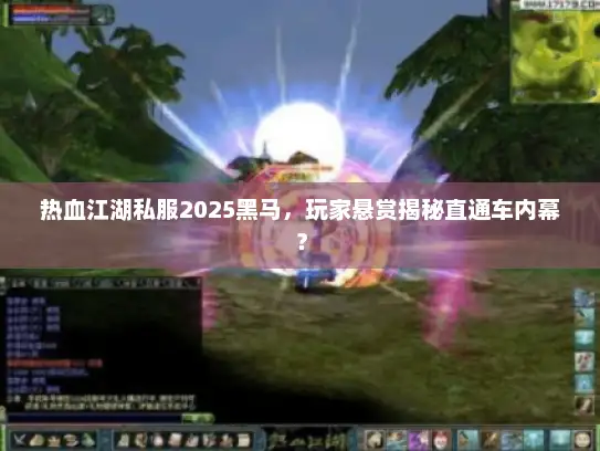 热血江湖私服2025黑马，玩家悬赏揭秘直通车内幕？