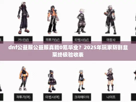 dnf公益服公益服真能0氪毕业？2025年玩家防割韭菜终极验收表