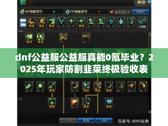 dnf公益服公益服真能0氪毕业？2025年玩家防割韭菜终极验收表