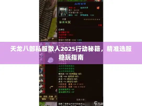 天龙八部私服散人2025行动秘籍，精准选服稳玩指南