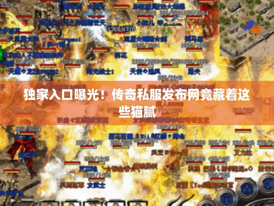 独家入口曝光！传奇私服发布网竟藏着这些猫腻