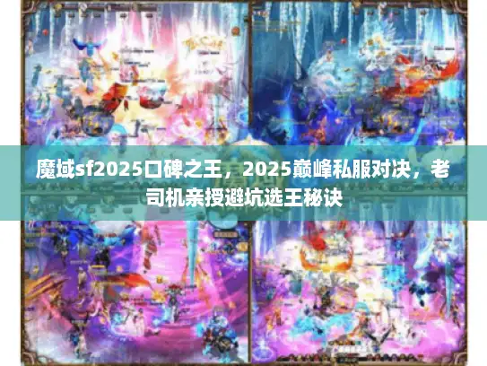 魔域sf2025口碑之王，2025巅峰私服对决，老司机亲授避坑选王秘诀