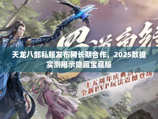 天龙八部私服发布网长期合作，2025数据实测揭示隐藏宝藏服
