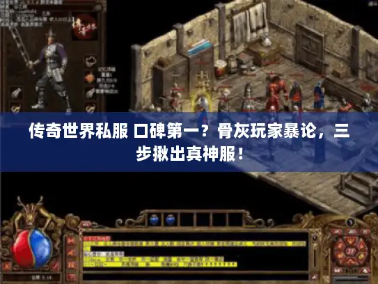 传奇世界私服 口碑第一？骨灰玩家暴论，三步揪出真神服！