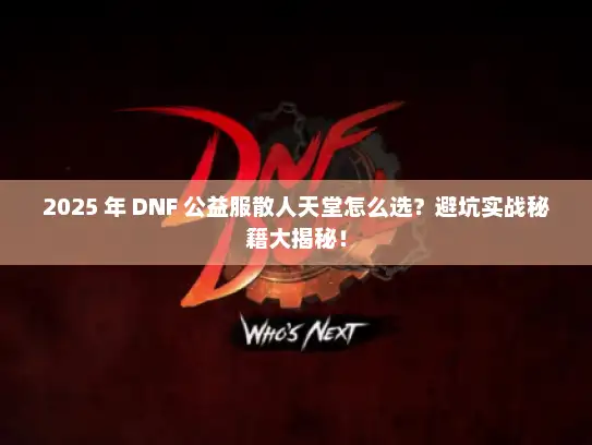 2025 年 DNF 公益服散人天堂怎么选？避坑实战秘籍大揭秘！