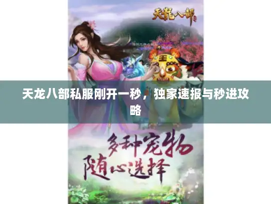 天龙八部私服刚开一秒，独家速报与秒进攻略