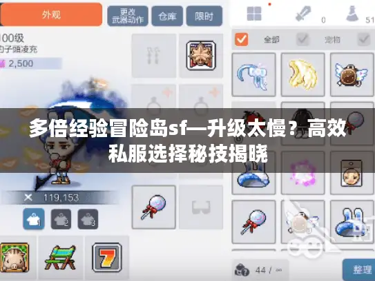 多倍经验冒险岛sf—升级太慢？高效私服选择秘技揭晓