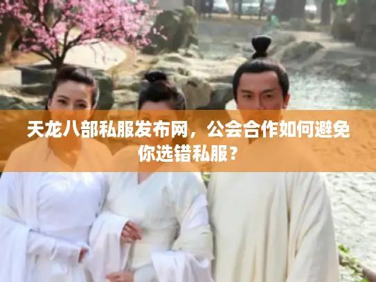 天龙八部私服发布网，公会合作如何避免你选错私服？