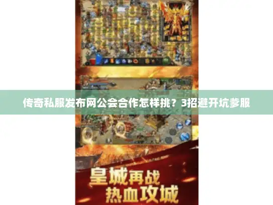 传奇私服发布网公会合作怎样挑？3招避开坑爹服