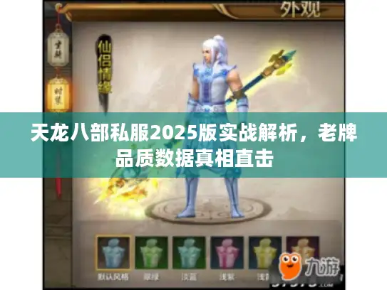 天龙八部私服2025版实战解析，老牌品质数据真相直击